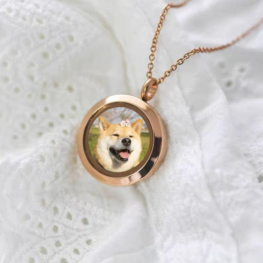 cat in necklace