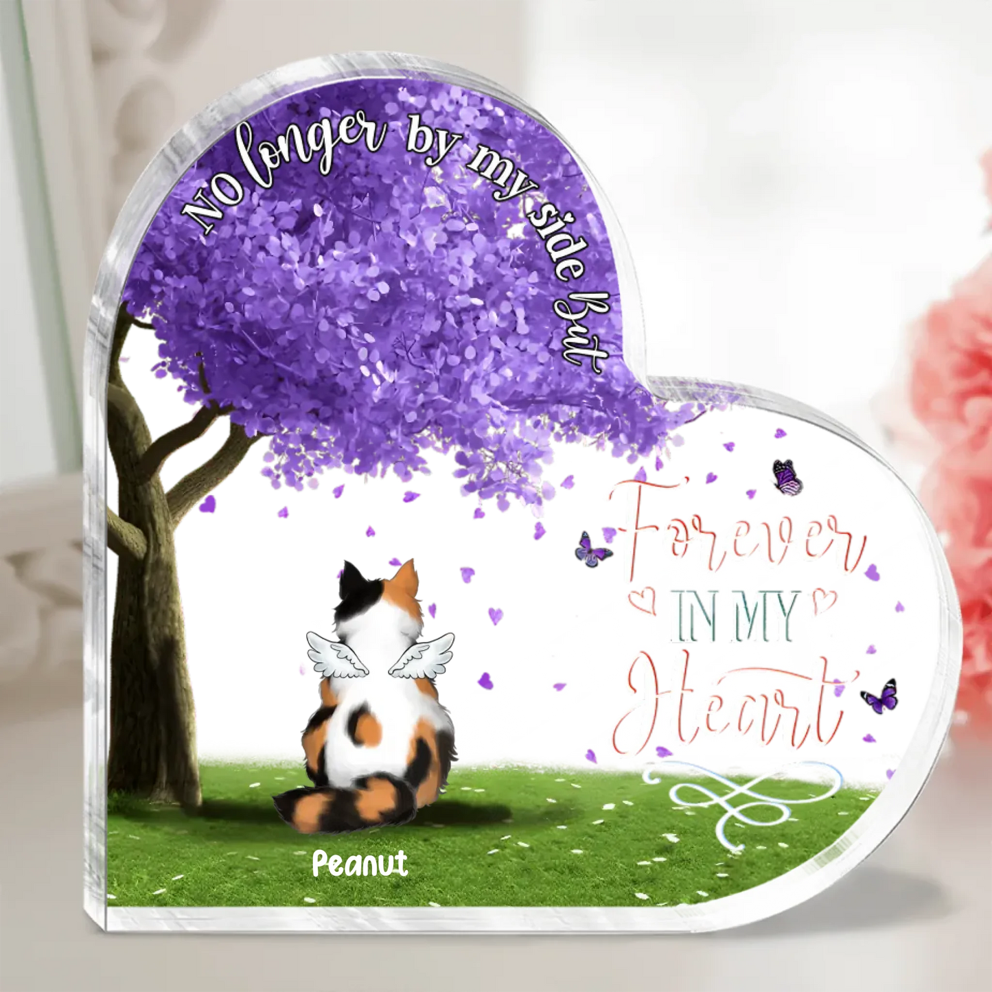 frame