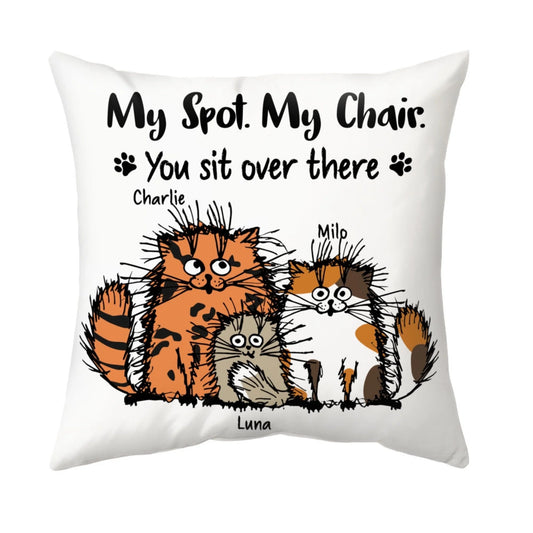 custom pillow (2)