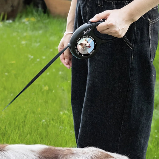 Dog leash (1)