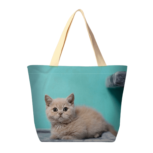 Find the Perfect Unique Tote Bag for Pet Lover - MiaowPaws