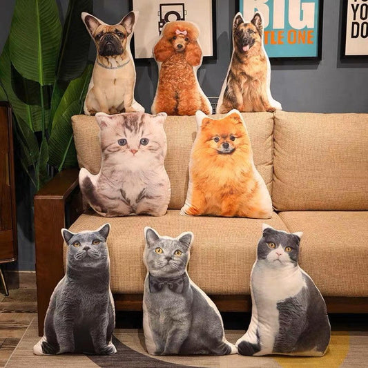 Pillow Pizzazz: Unleash Your Quirky Style with Customized Decorative and Bespoke Pet Photo Pillows - MiaowPaws