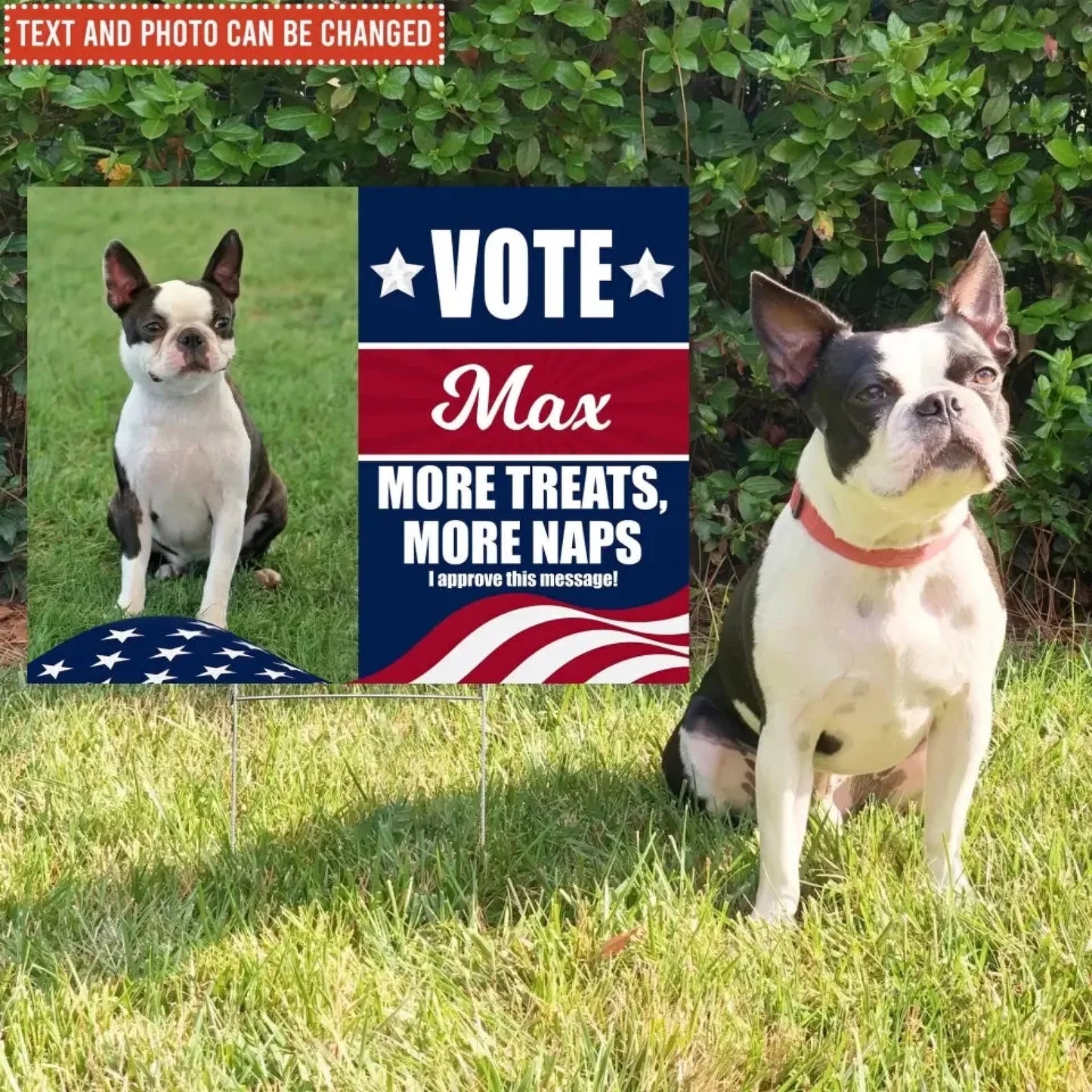 Custom Vote My Pet For President Political Sign_yyt