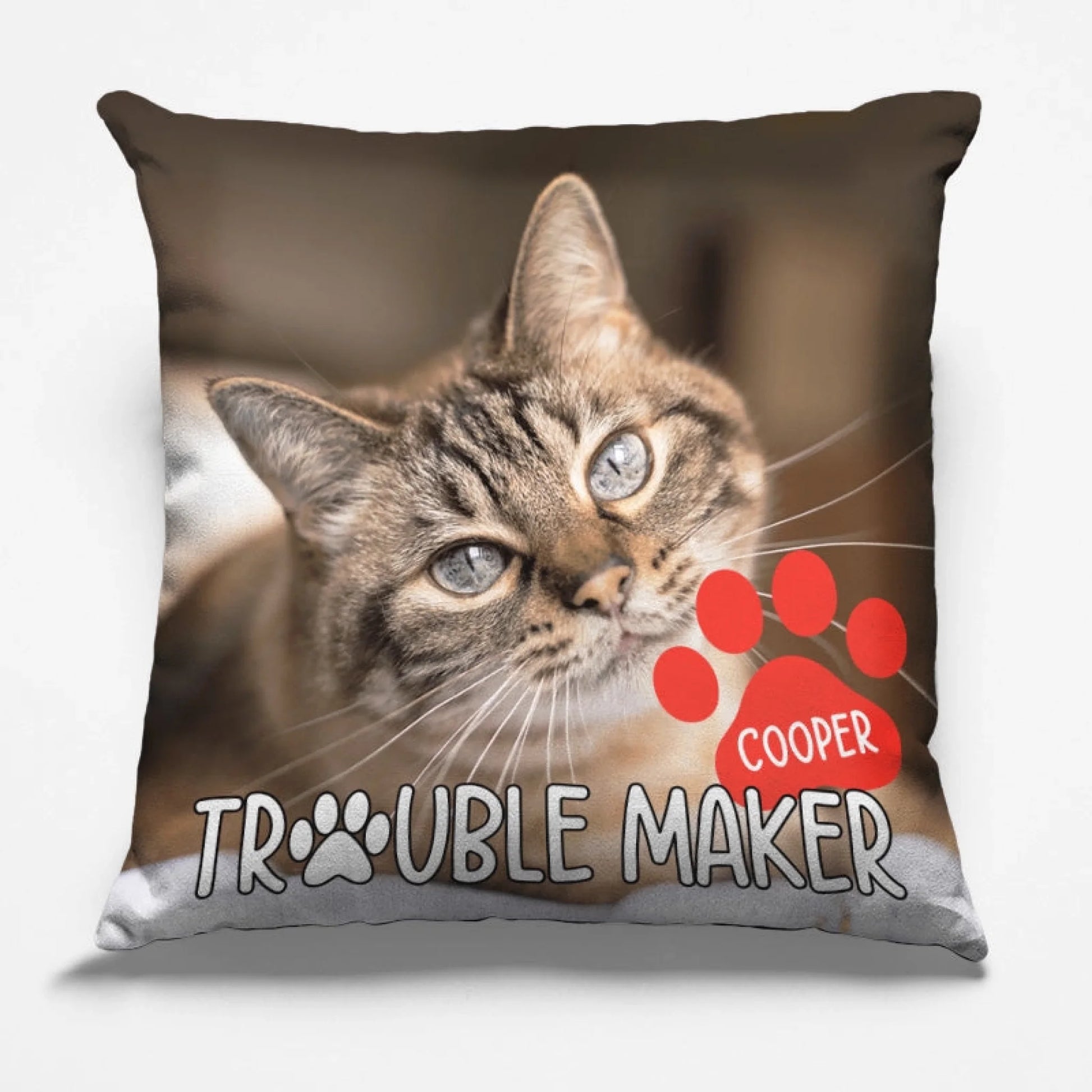 custom pillow (1)