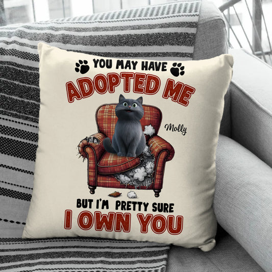 custom pillow (2)