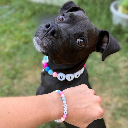 Personalized Bracelet - Match Your Dog or Cat_yythk