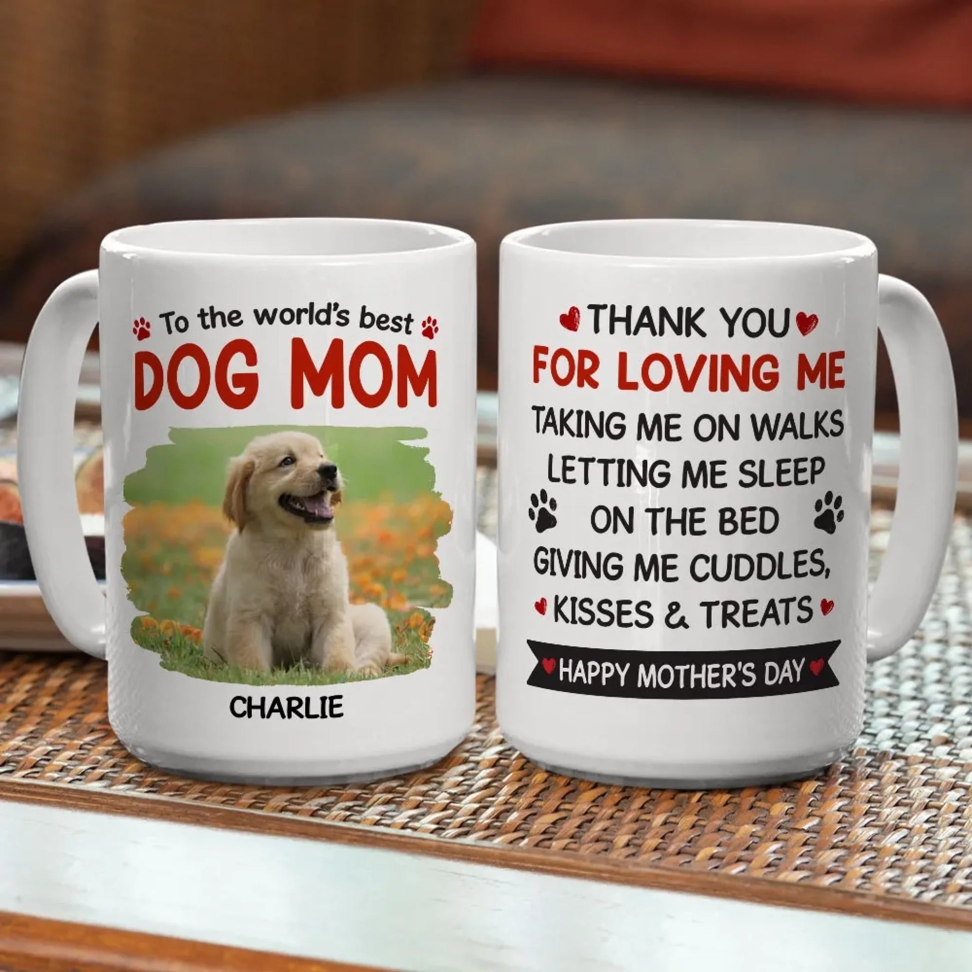Thanks For Taking Us On Walks Photo - Personalized Custom Coffee Mug