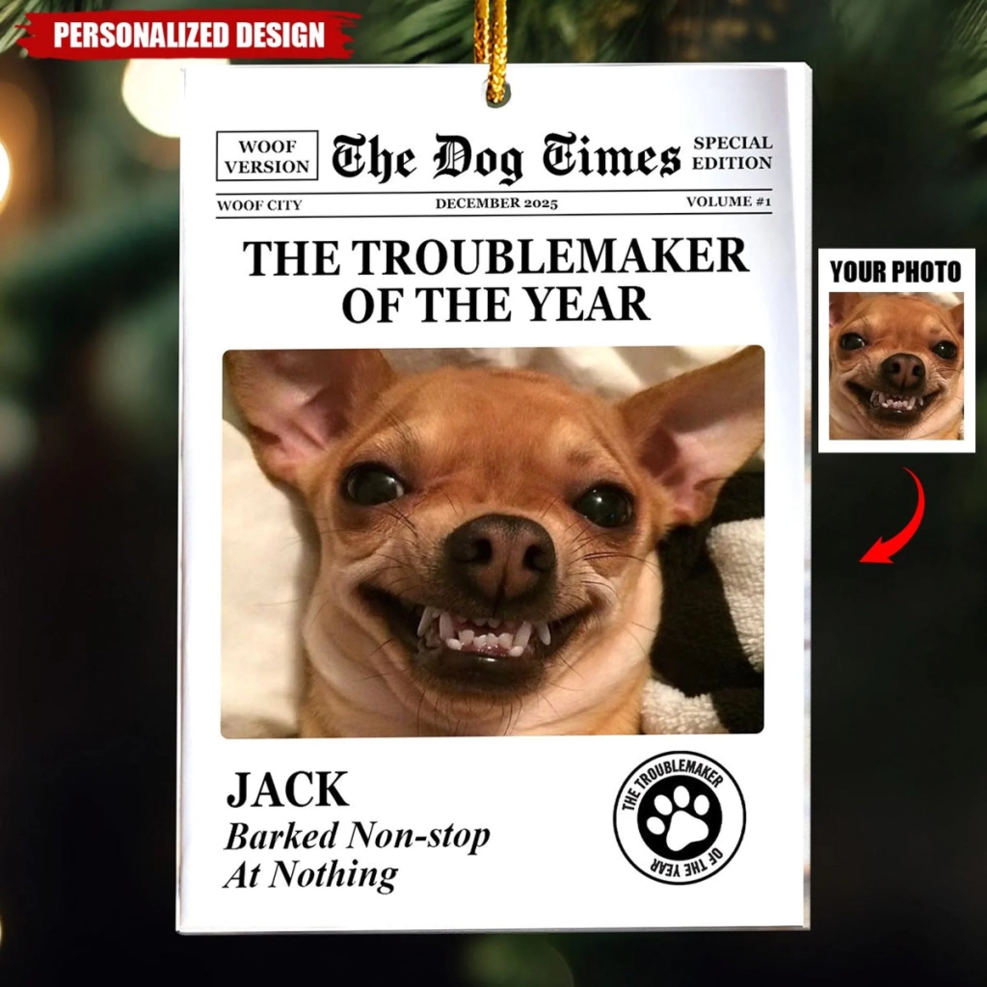 acrylic ornament (3)