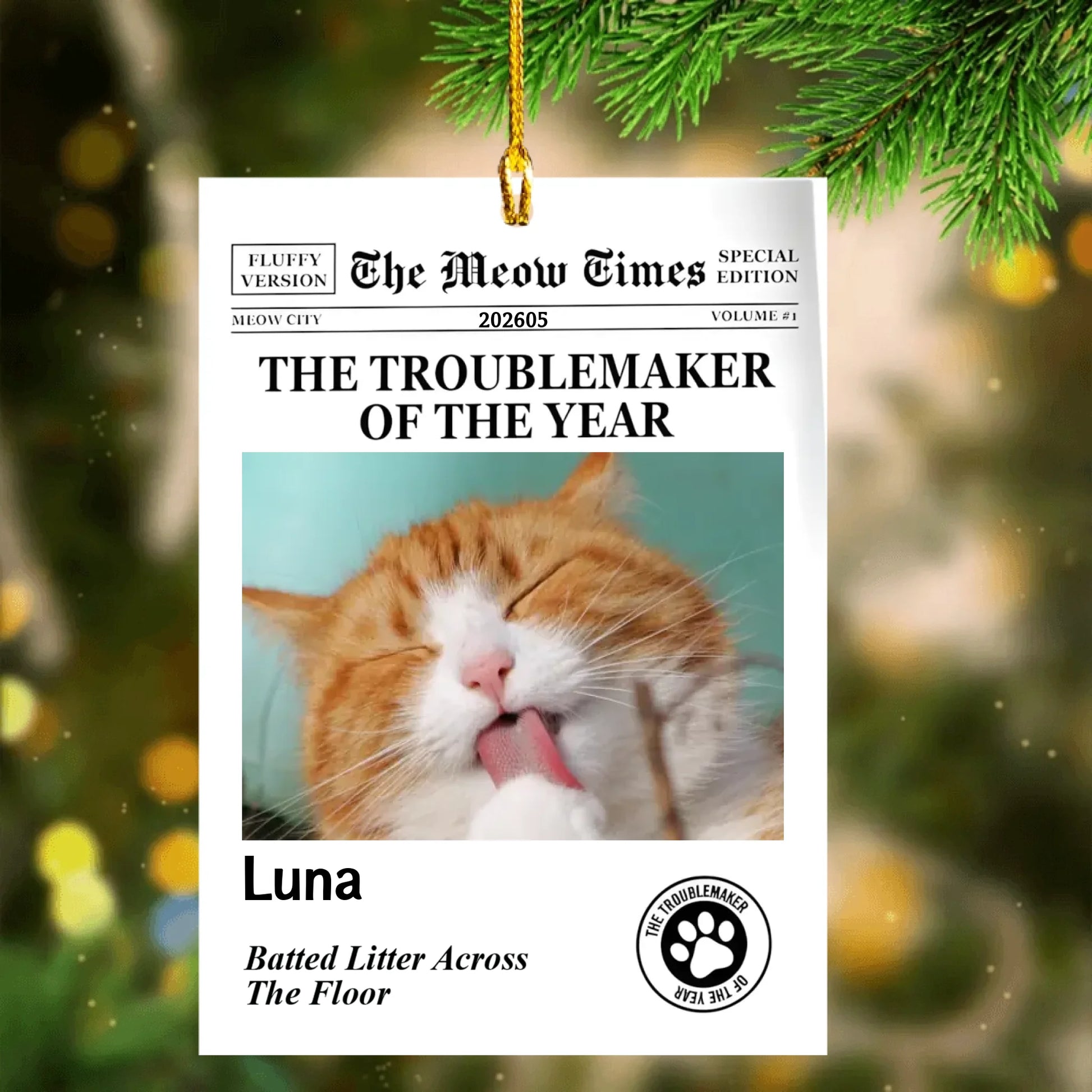 custom acrylic ornament (5)