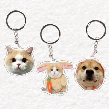 Custom Pet Keychain Personalized Acrylic Pet Photo Keyring
