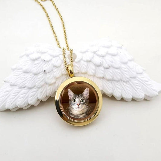 cat in necklace