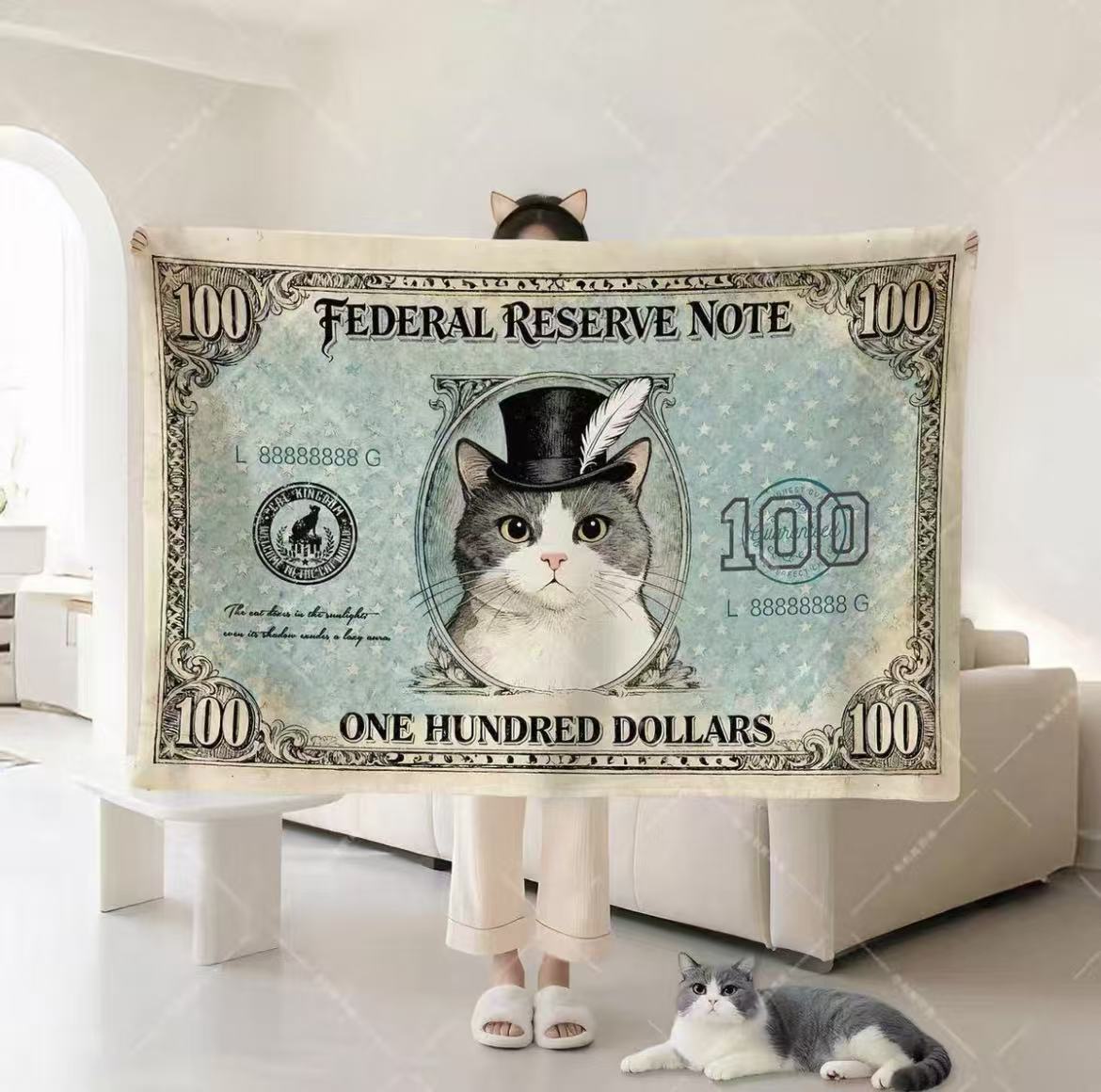 Dollar Cat Blanket Office Nap Shawl Lap Throw Unique Gift for Cat Lovers