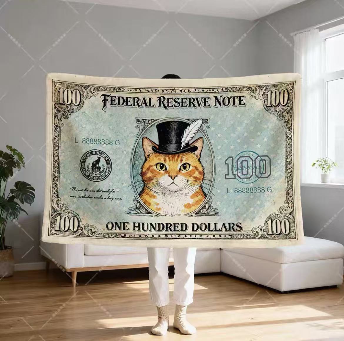 Dollar Cat Blanket Office Nap Shawl Lap Throw Unique Gift for Cat Lovers
