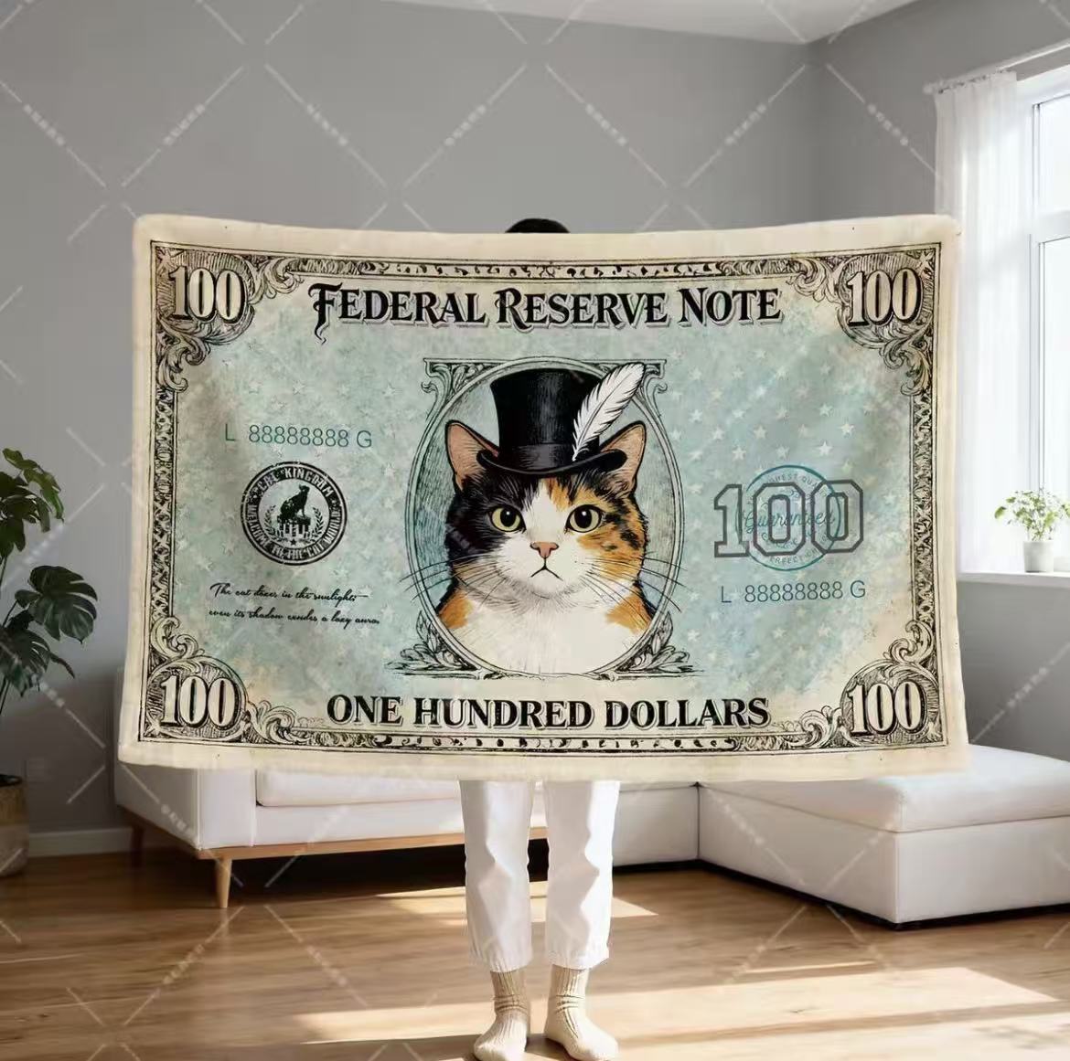 Dollar Cat Blanket Office Nap Shawl Lap Throw Unique Gift for Cat Lovers