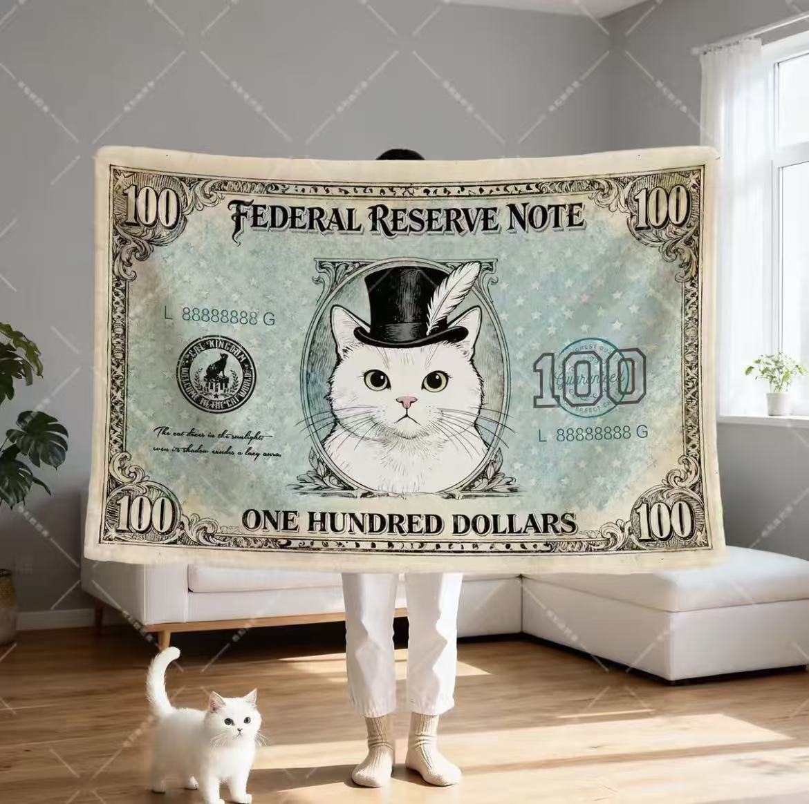 Dollar Cat Blanket Office Nap Shawl Lap Throw Unique Gift for Cat Lovers