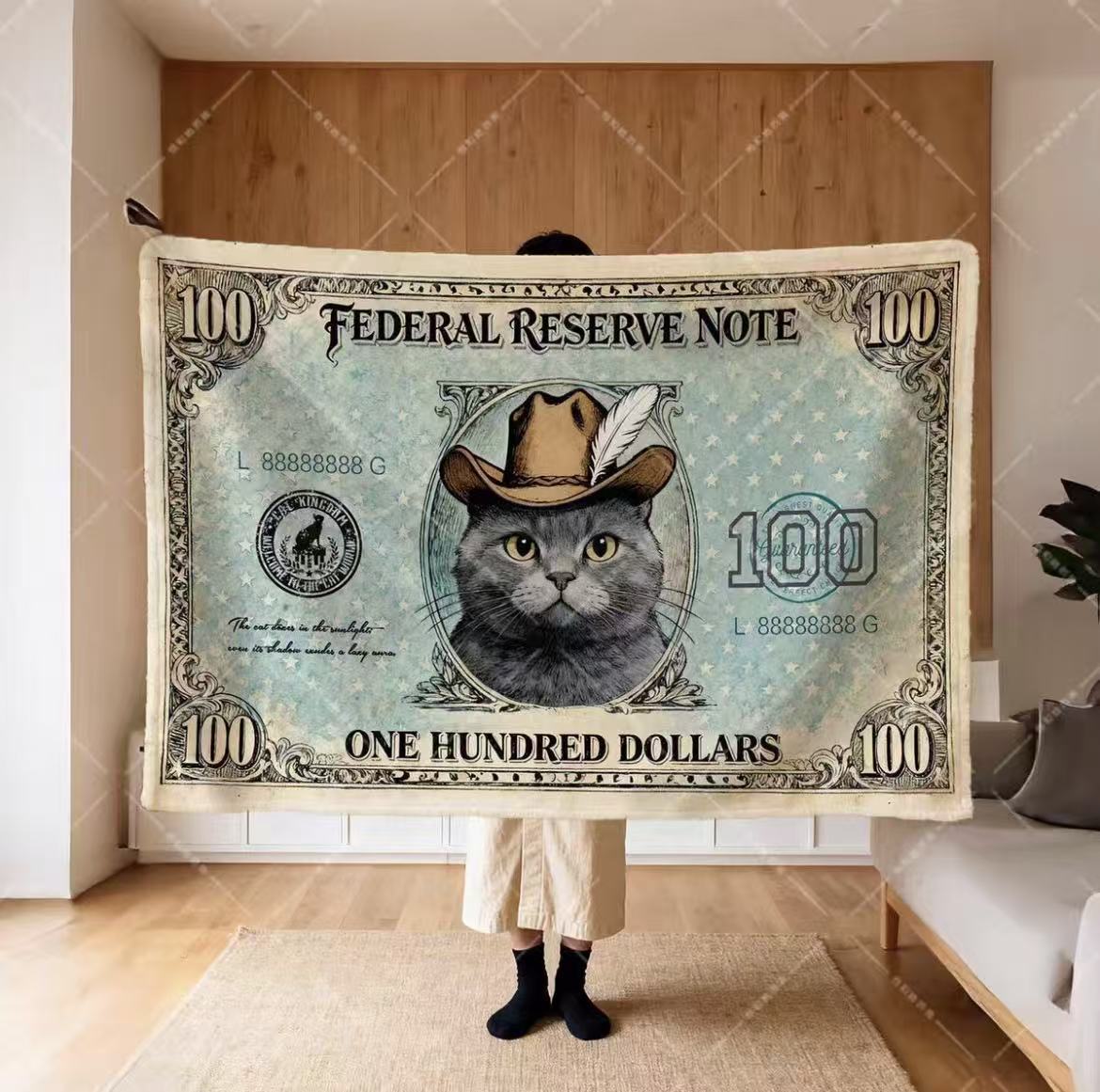 Dollar Cat Blanket Office Nap Shawl Lap Throw Unique Gift for Cat Lovers