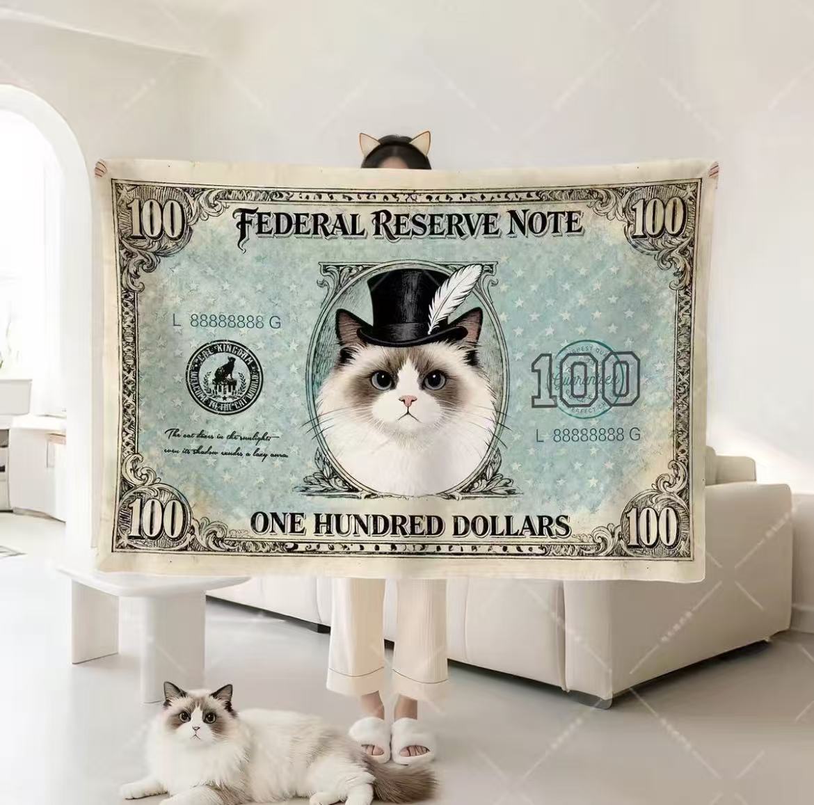 Dollar Cat Blanket Office Nap Shawl Lap Throw Unique Gift for Cat Lovers