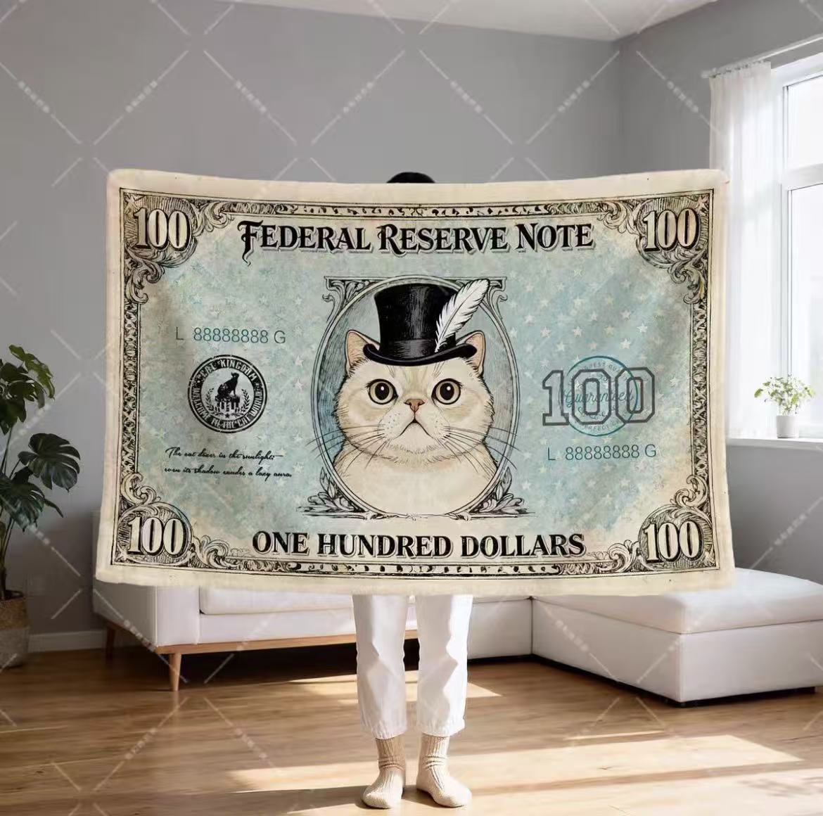 Dollar Cat Blanket Office Nap Shawl Lap Throw Unique Gift for Cat Lovers