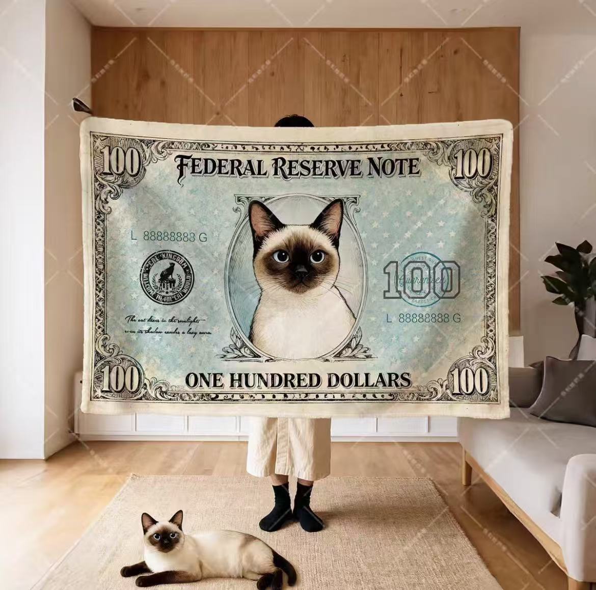 Dollar Cat Blanket Office Nap Shawl Lap Throw Unique Gift for Cat Lovers