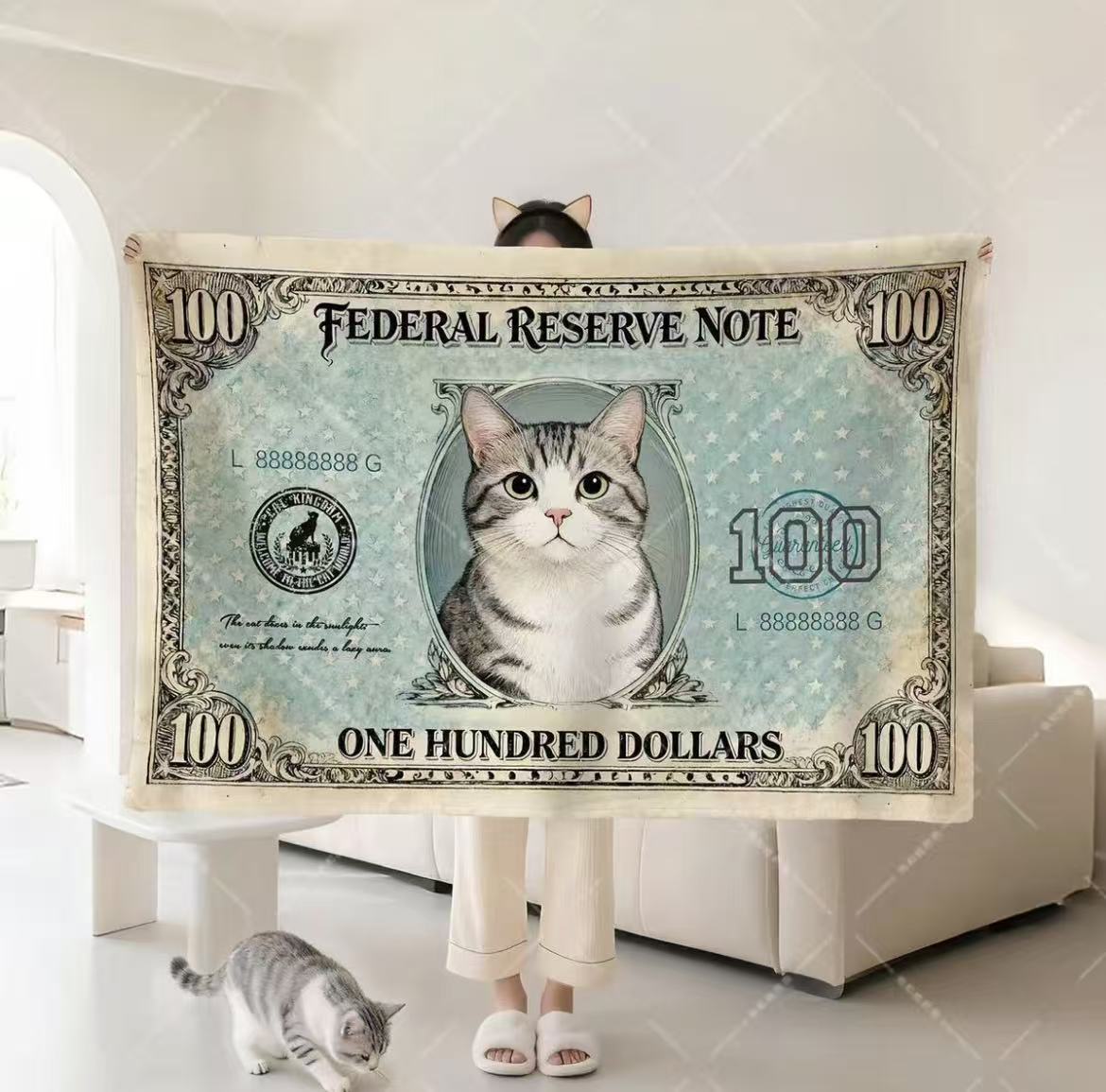 Dollar Cat Blanket Office Nap Shawl Lap Throw Unique Gift for Cat Lovers